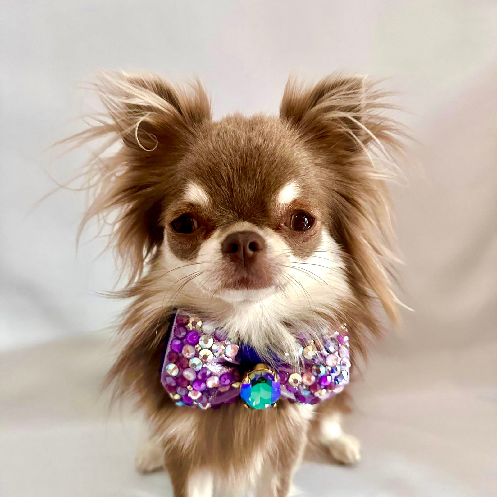Hydrangea Bubble Bow, Lilac Petite