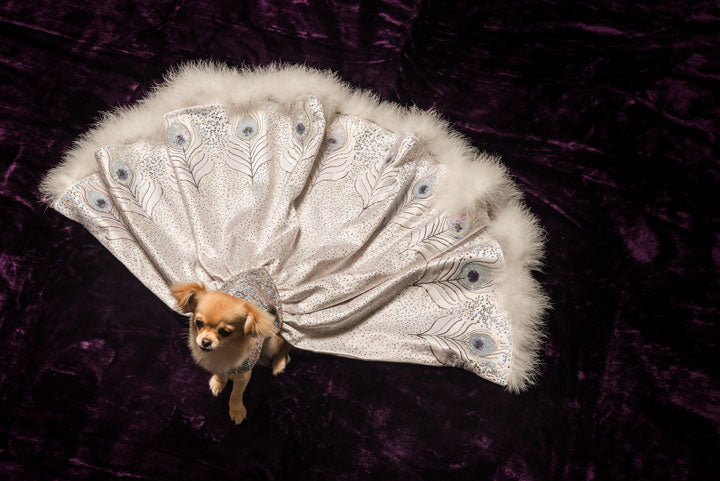 Peacock Ball Gown for Dogs