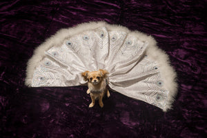 Peacock Ball Gown for Dogs