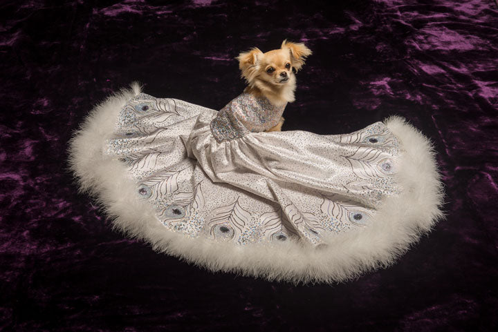 Peacock Ball Gown for Dogs (World's Most Expensive Dog Dress) - Furdrobe Ltd Peacock Ball Gown for Dogs (World's Most Expensive Dog Dress) - Furdrobe Ltd