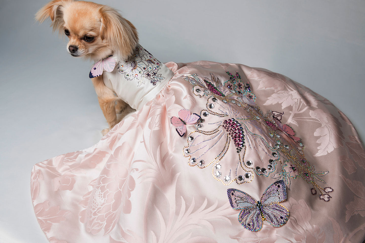 Belle Prelle Dog Dress - Furdrobe Ltd Belle Prelle Dog Dress - Furdrobe Ltd