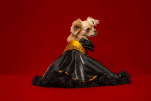 Queen Bee Dog Dress