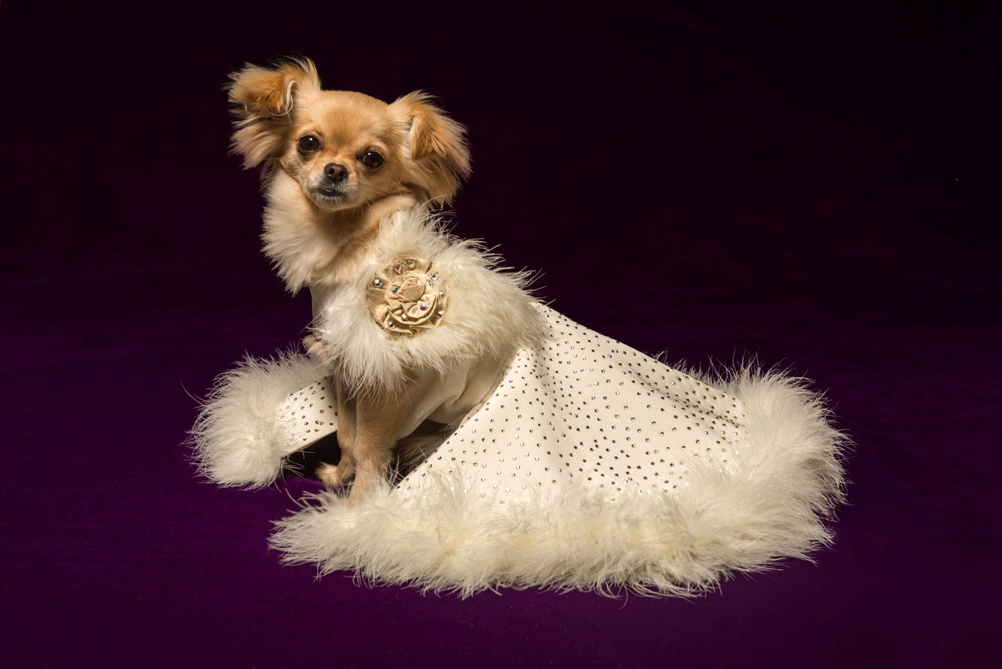 Snow Queen Dog Gown