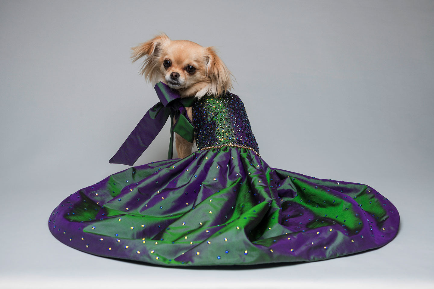 Starry Night Dog Dress