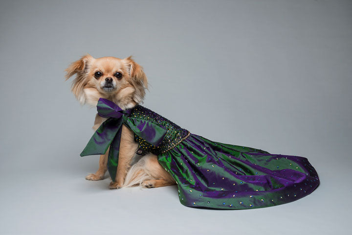 Starry Night Dog Dress